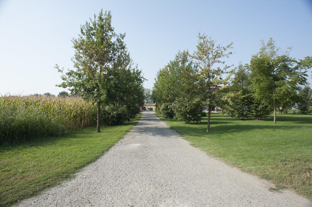 Agriturismo Corte Acconi Mantova Exteriér fotografie